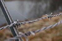 Barbed wire fence. Amager