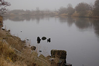 A small bay. Amager