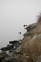 Coast of Rubble. Amager