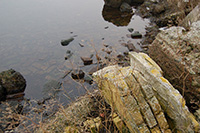 More coastal rubble. Amager