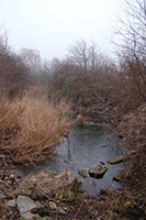Sewage pond. Amager
