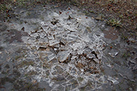 Ice. Amager