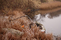 The wreckage of a small boat. Amager